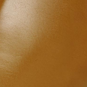 Closeup of Antiqued leather upper