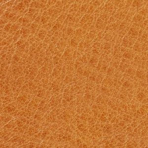 Closeup of Calf leather