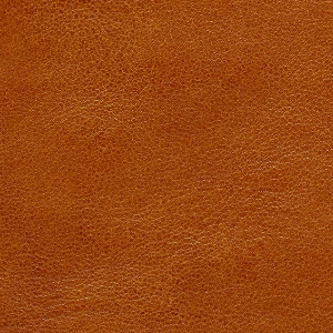 Closeup of Calf leather