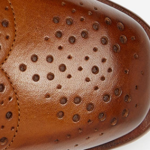 Closeup of Toe rosette