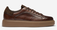 Thumbnail of Cornillera Brown