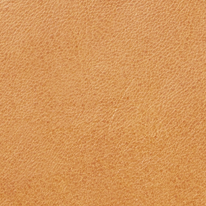 Closeup of Calf leather