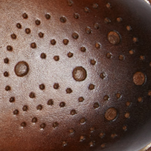 Closeup of Toe rosette