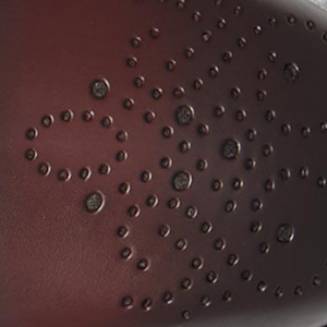 Closeup of OS toe rosette