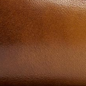 Closeup of Antiqued leather upper