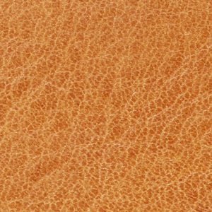 Closeup of Calf leather