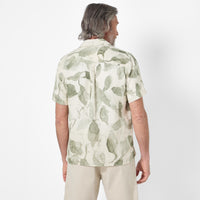 Thumbnail of Meada Sage