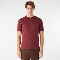 Thumbnail of Palmela Mulberry