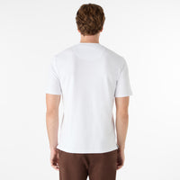 Thumbnail of Palmela White