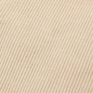 Closeup of Corduroy fabric