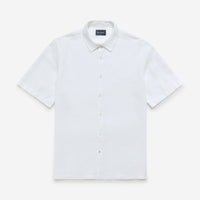 Thumbnail of Somerton White