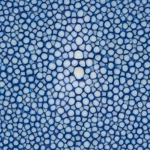 Closeup of Stingray hide