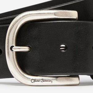 Closeup of Polished brass buckle