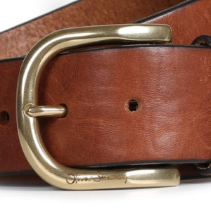 Closeup of Polished brass buckle