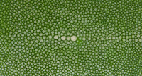 Thumbnail of Benson Green