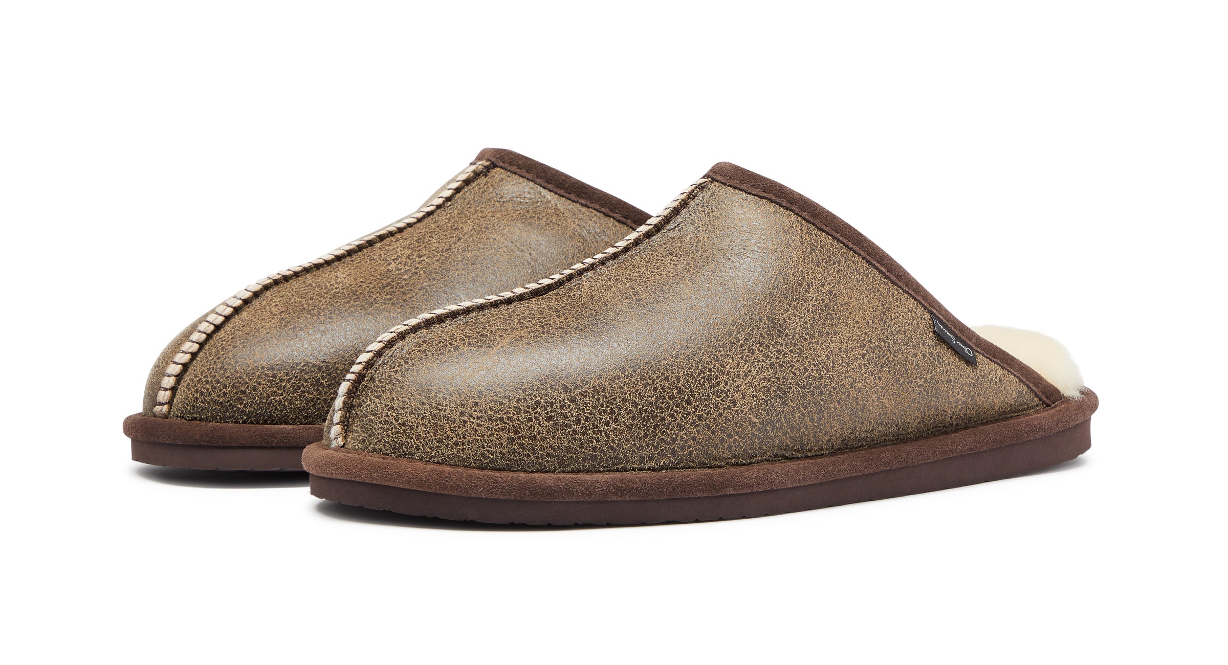 Ashcombe Brown