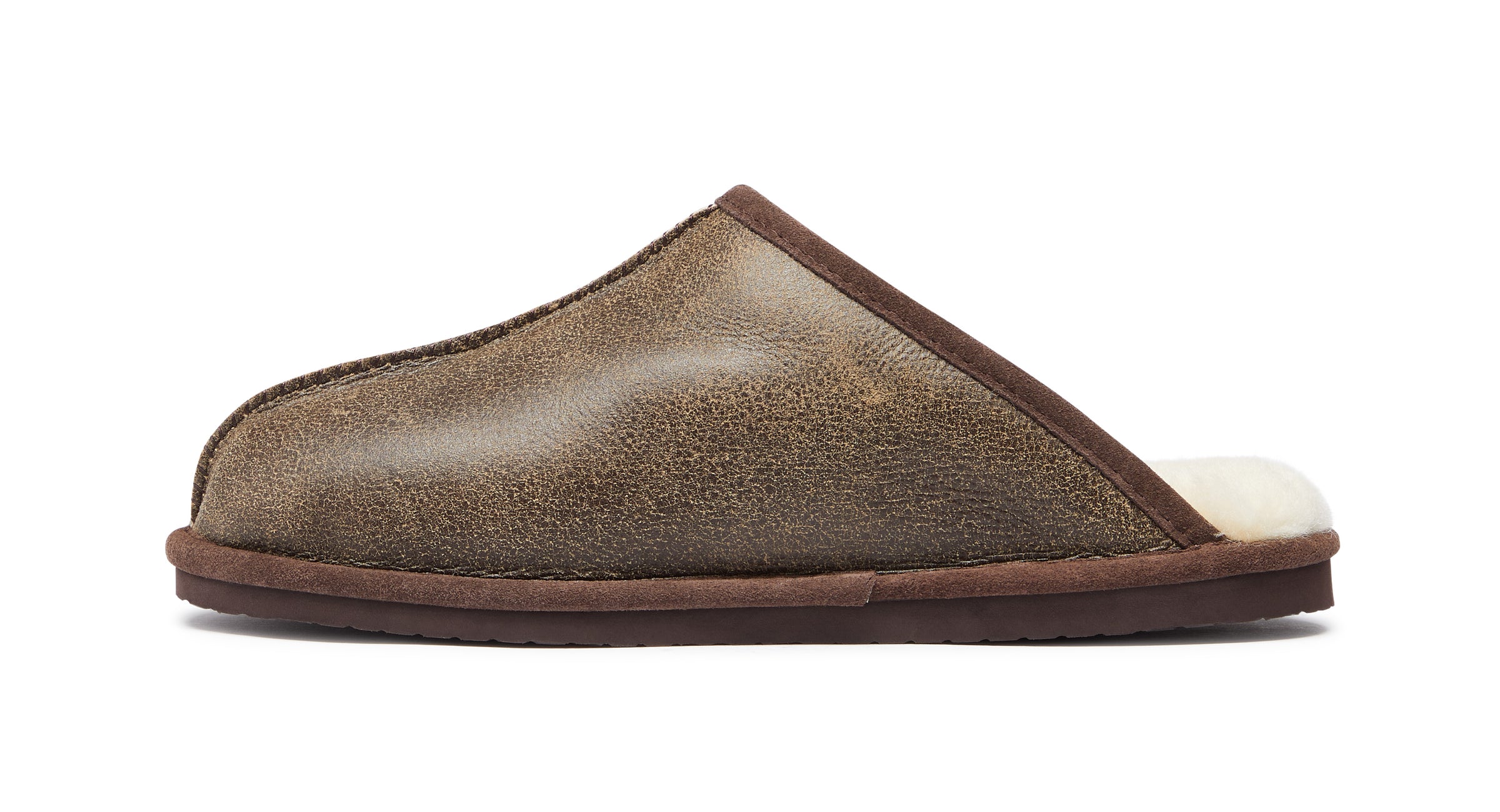 Ashcombe Brown
