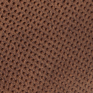 Closeup of Perforated upper