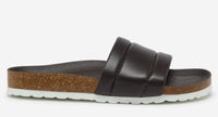 Thumbnail of Bornos Brown