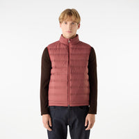 Thumbnail of Caversham Terracotta