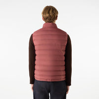 Thumbnail of Caversham Terracotta