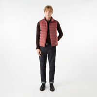 Thumbnail of Caversham Terracotta