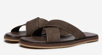 Thumbnail of Chesil Brown