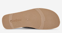 Thumbnail of Chesil Brown
