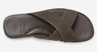 Thumbnail of Chesil Brown