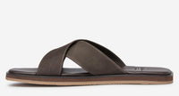 Thumbnail of Chesil Brown