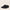 Campobello Black