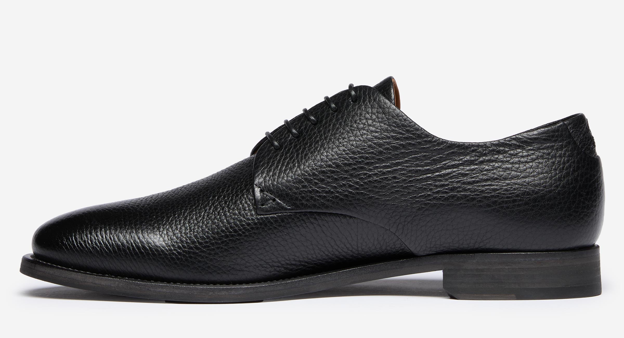 Campobello Black