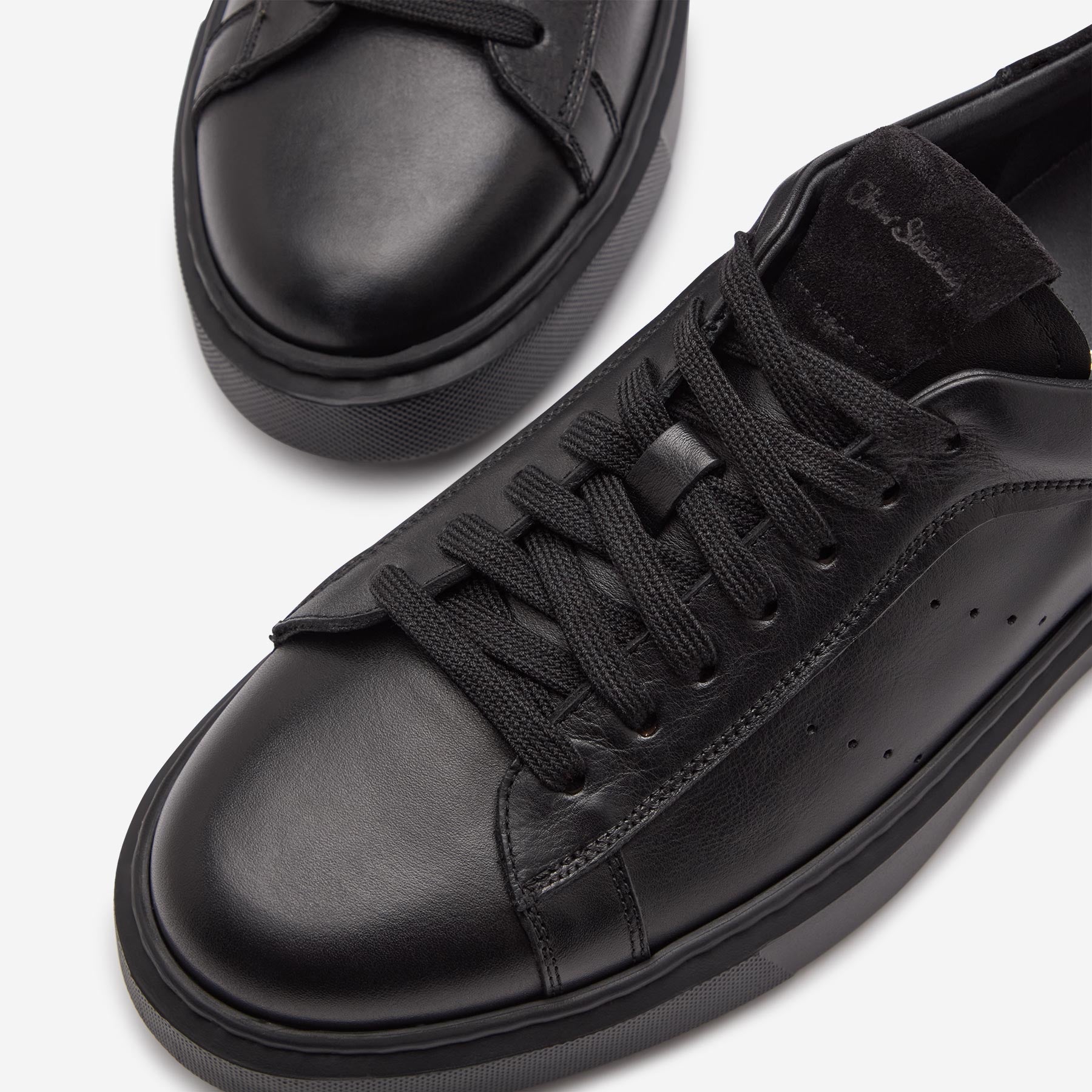 Cornillera Black