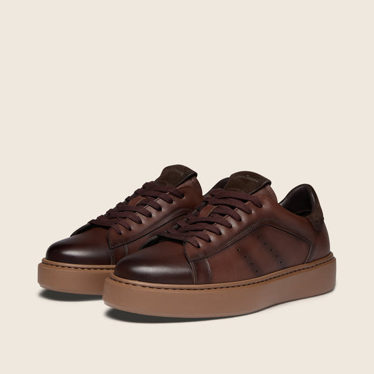 Cornillera Brown