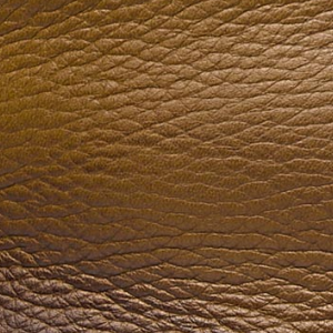Closeup of Antiqued deer leather upper