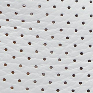 Closeup of Full perforated upper & lining