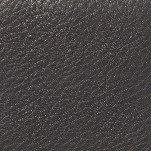 Closeup of Calf leather