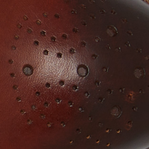 Closeup of Toe Rosette