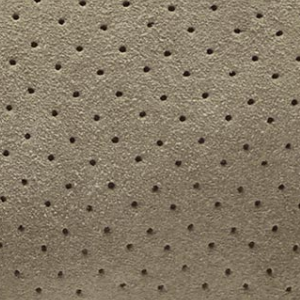 Closeup of Perforated upper detail