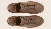 Thumbnail of Lopes Mole