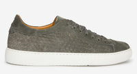 Thumbnail of Murcia Grey