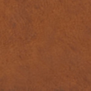 Closeup of Oiled calf leather