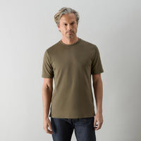 Thumbnail of Palmela Olive