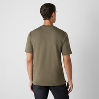 Thumbnail of Palmela Olive