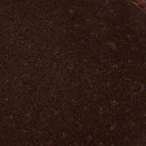 Closeup of Toe rosette