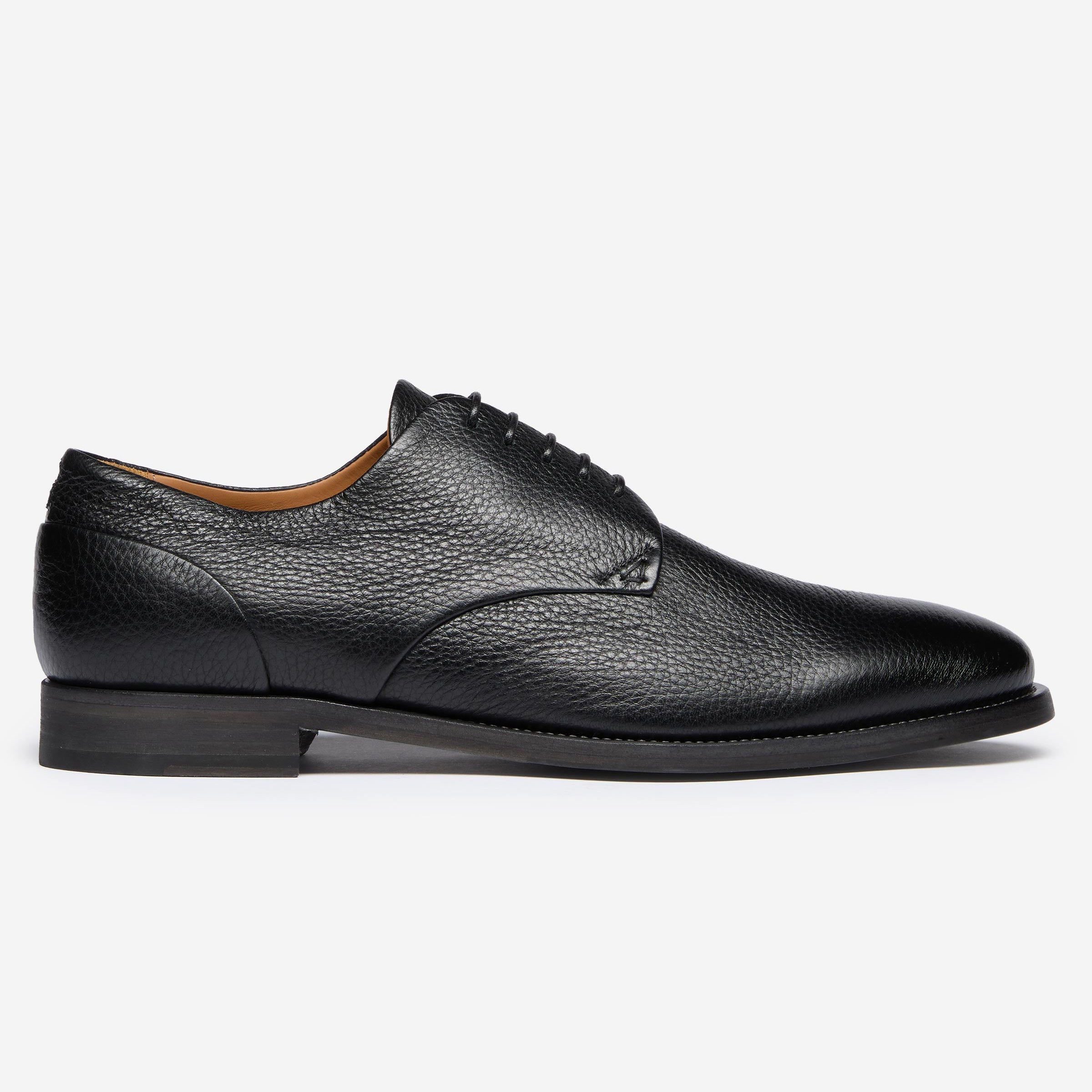 Campobello Black