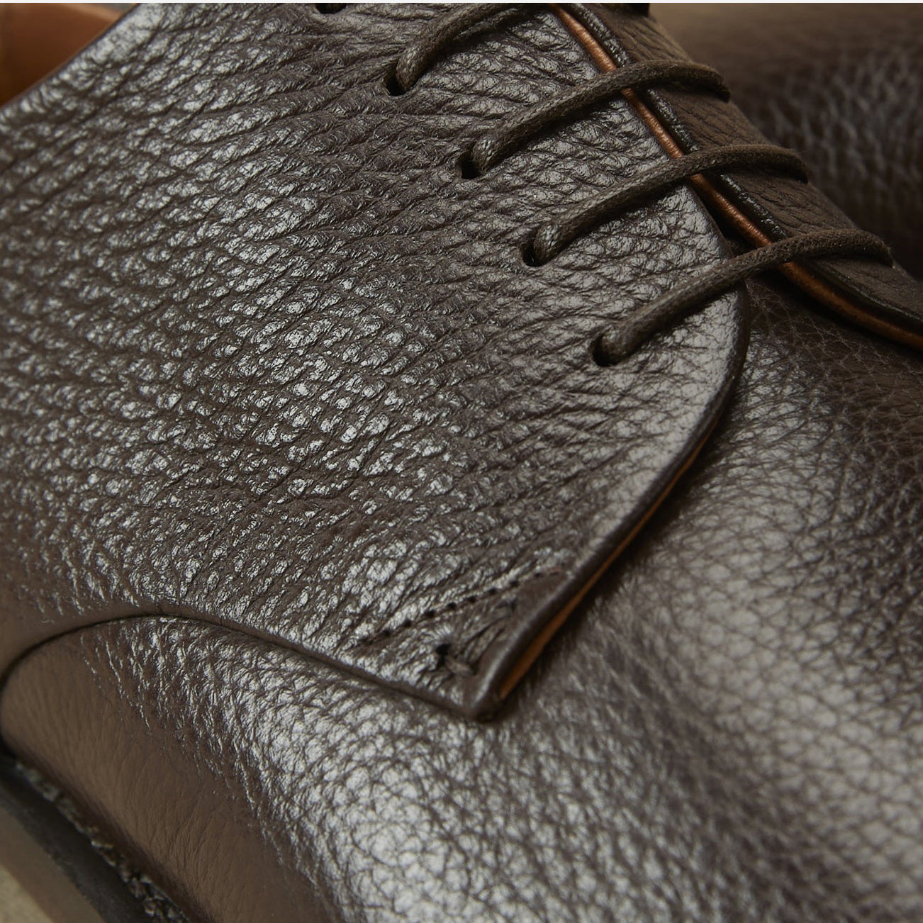 Campobello Brown