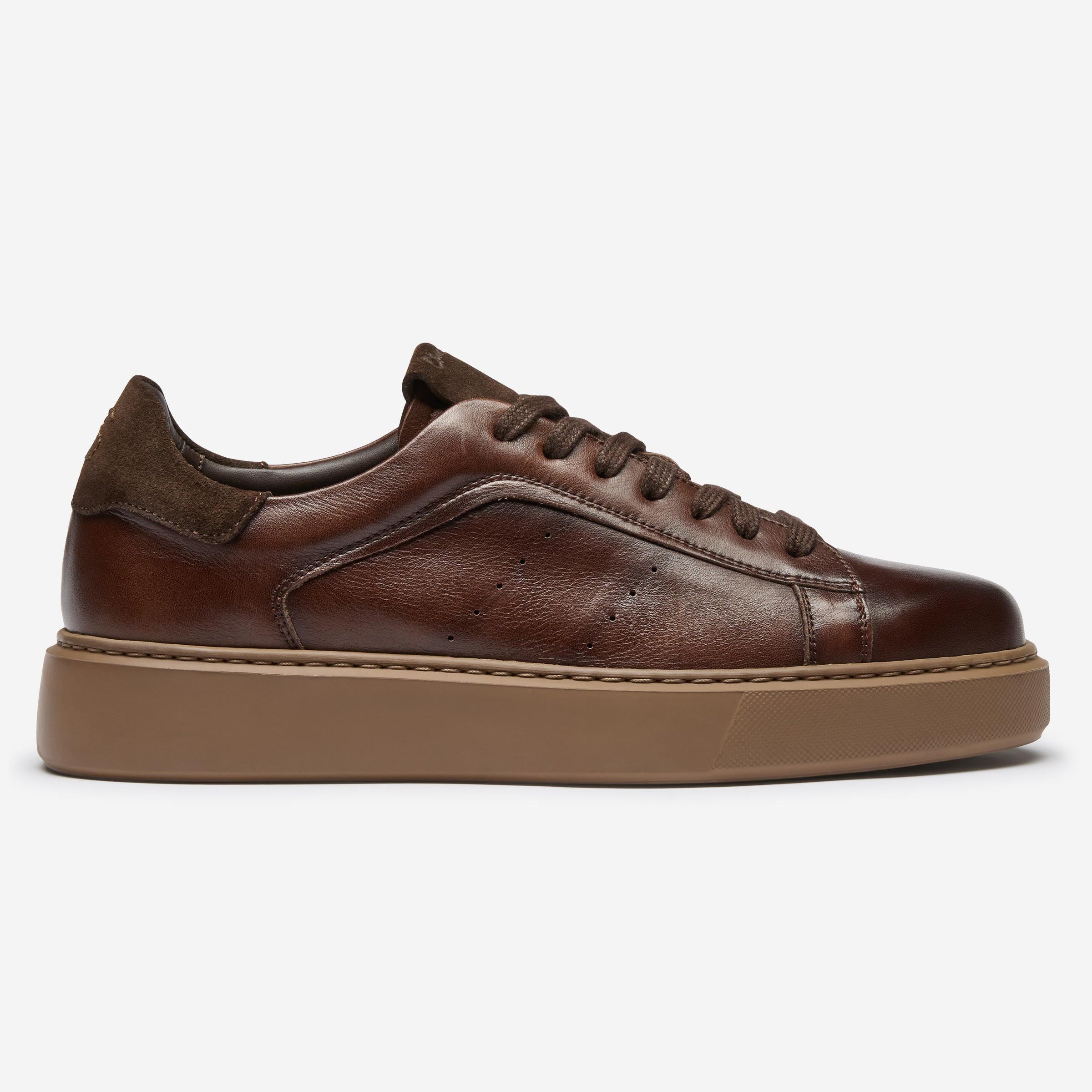 Cornillera Brown