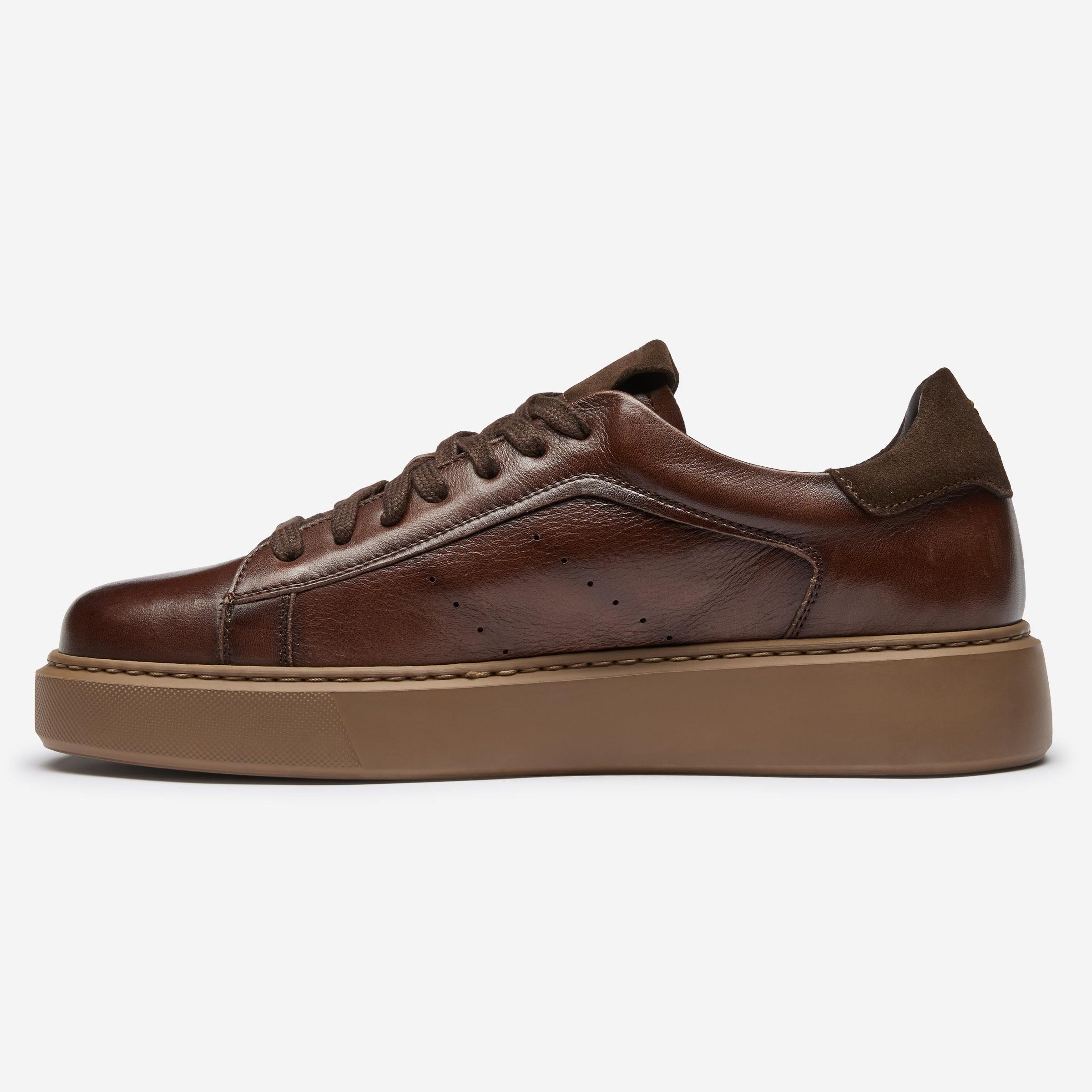 Cornillera Brown