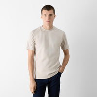 Thumbnail of Palmela Putty